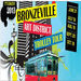 Bronzeville Art District Trolley Tour